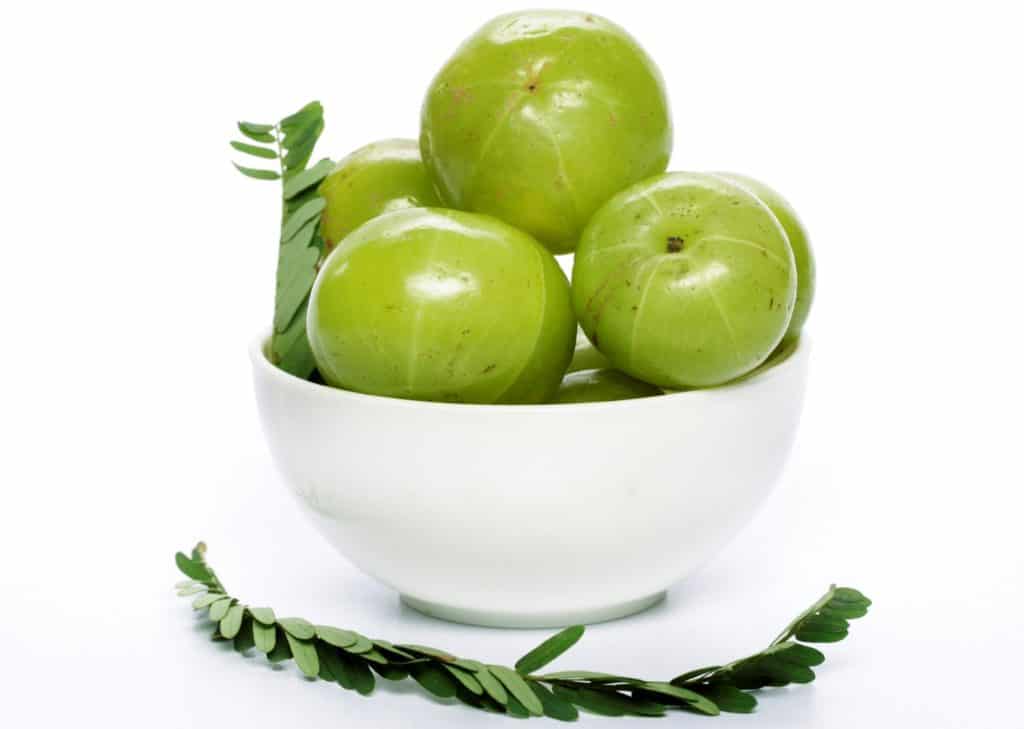 Helath Benefits of Indian gooseberry