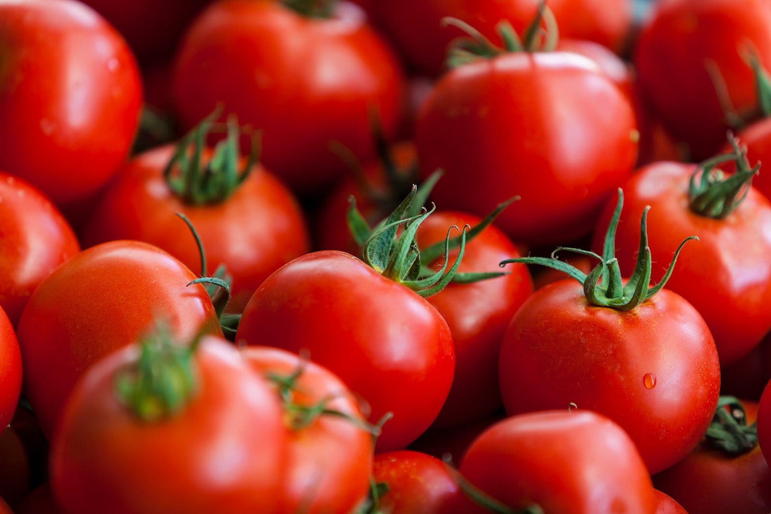 10. Tomatoes Min