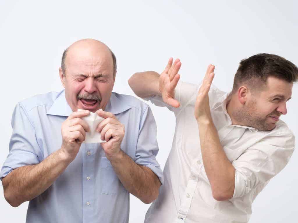 Sick bald caucasian man holding napkin or tissue, trying to cover mouth while sneezing with closed eyes. His coworker try to hide from microbes. Poor guy has terrible grippe