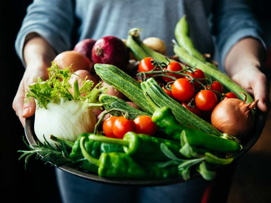 Hands holding big plate with different fresh farm vegetables. Autumn harvest and healthy organic food concept