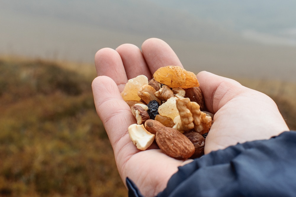 Hand,with,nuts,and,dried,fruits,during,the,trek.