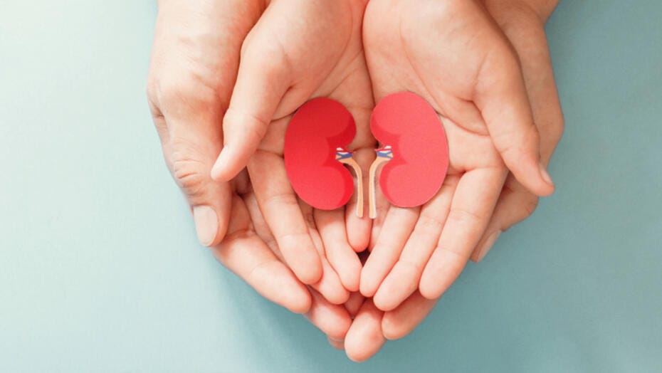 Living Kidney Donor