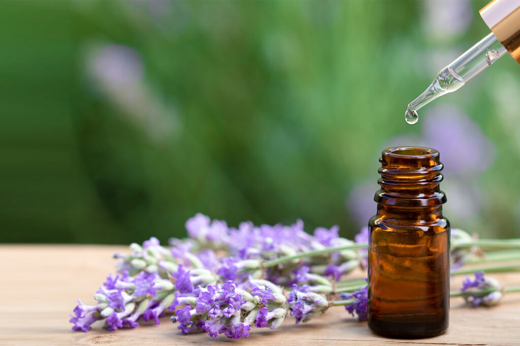289584 1600x1066 Essential Oils