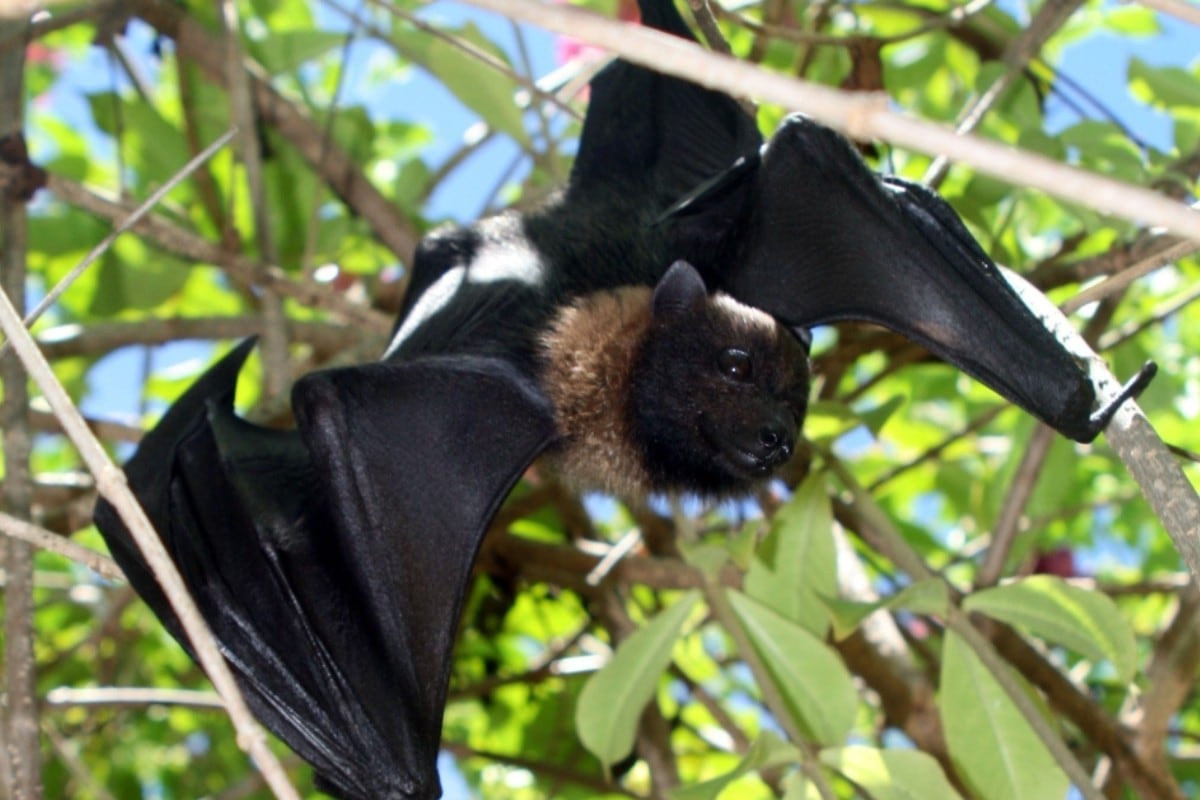 Profound Ways Humans Changed the World So Far