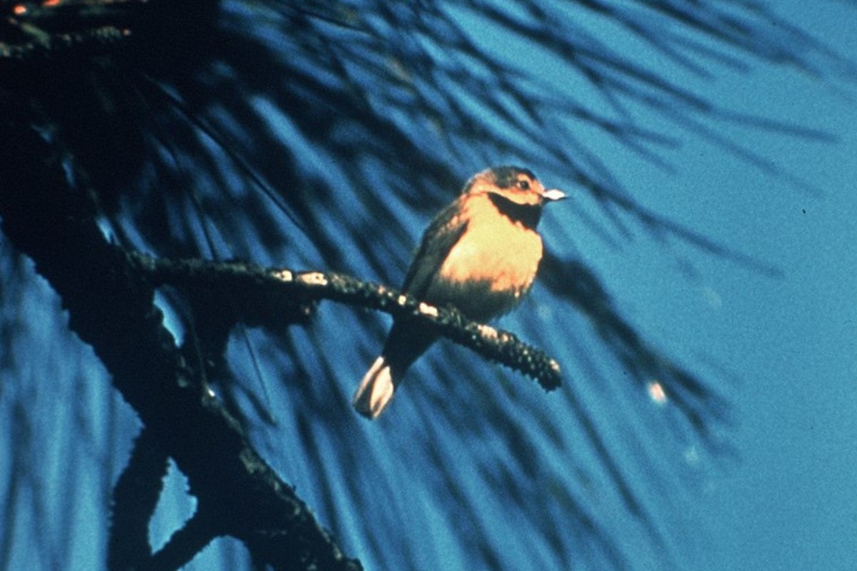 Profound Ways Humans Changed the World So Far