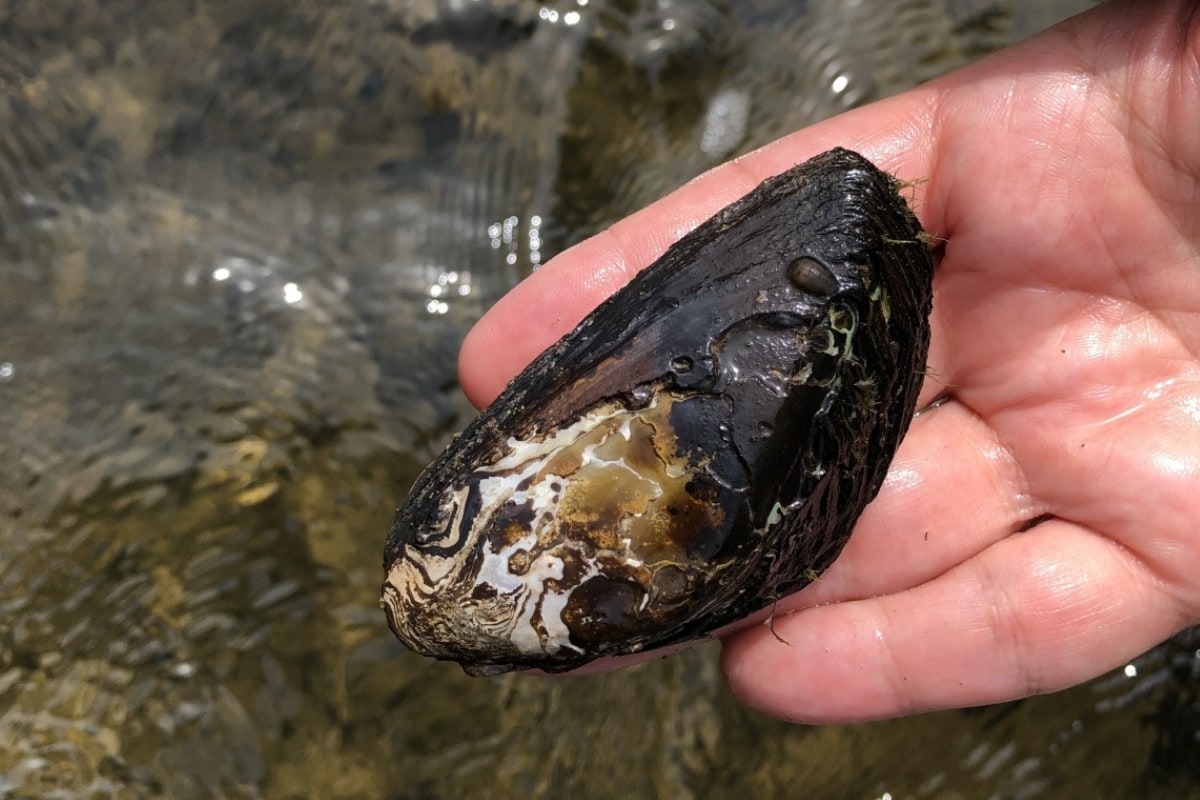 Profound Ways Humans Changed the World So Far