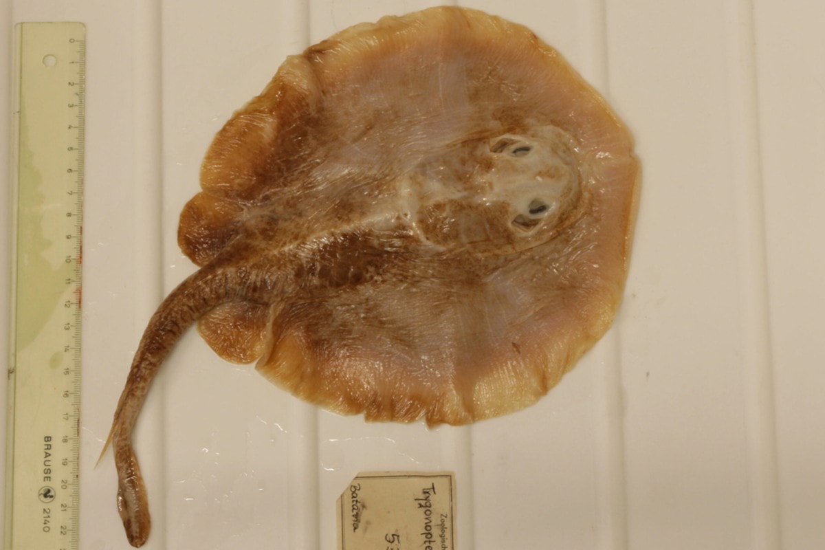 Profound Ways Humans Changed the World So Far