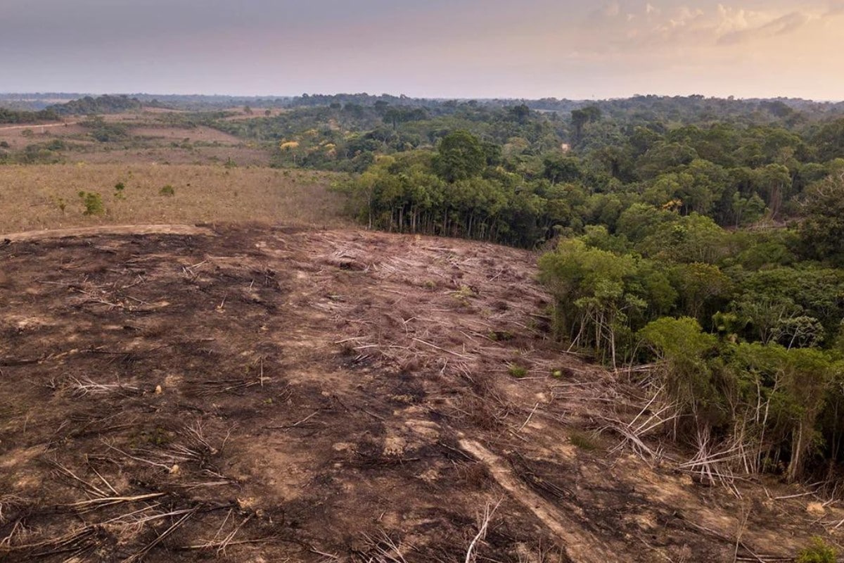 Profound Ways Humans Changed the World So Far