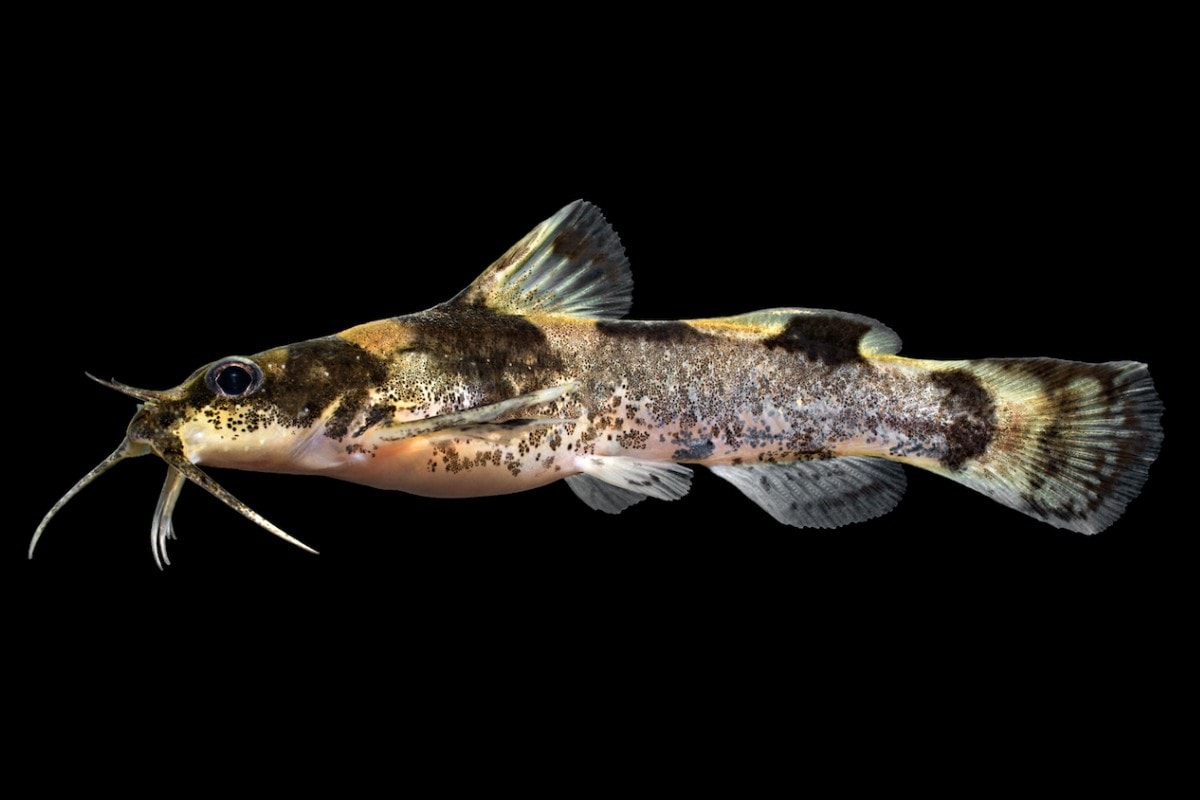 Profound Ways Humans Changed the World So Far