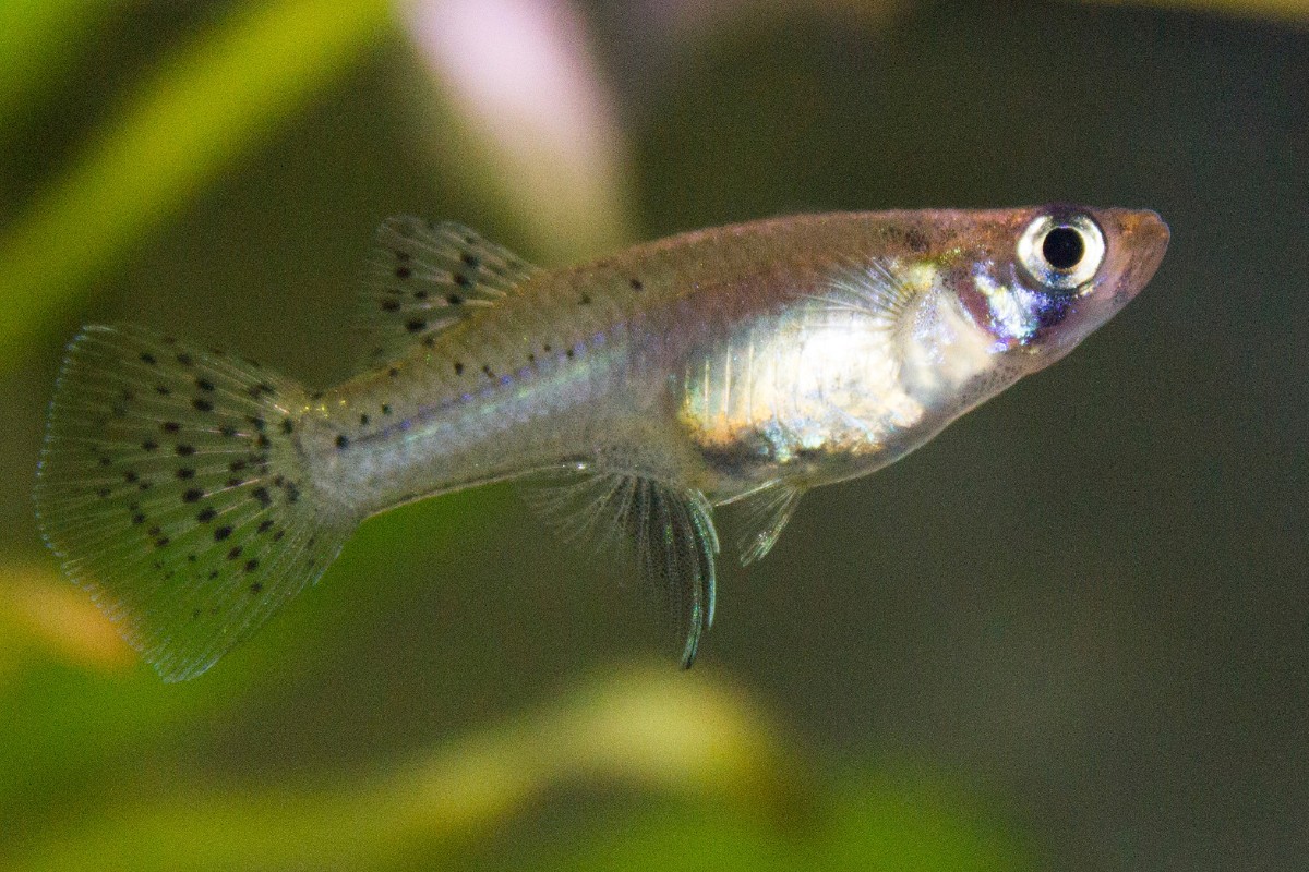 Profound Ways Humans Changed the World So Far