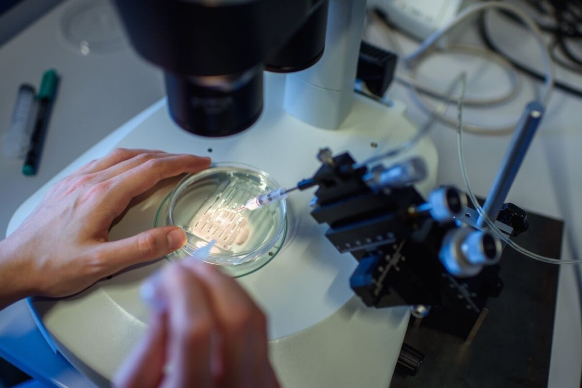 Profound Ways Humans Changed the World So Far