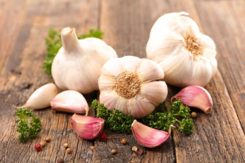 Garlic A Natural Antibiotic V1