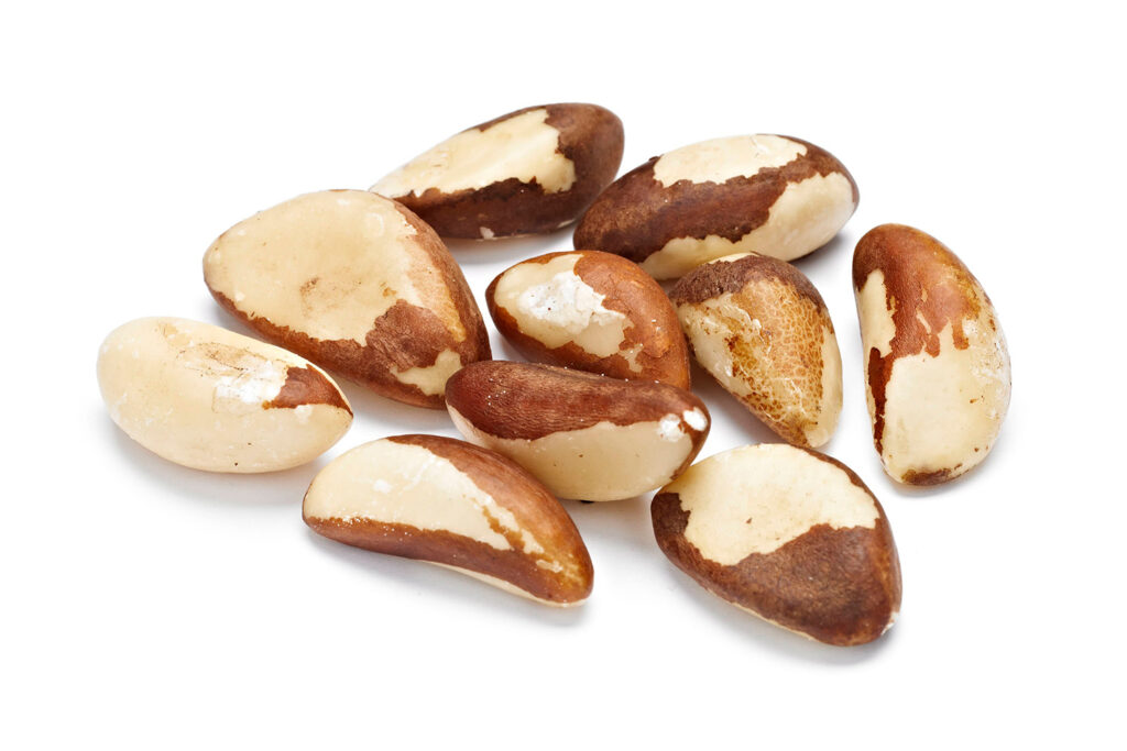 41 Brazil Nuts