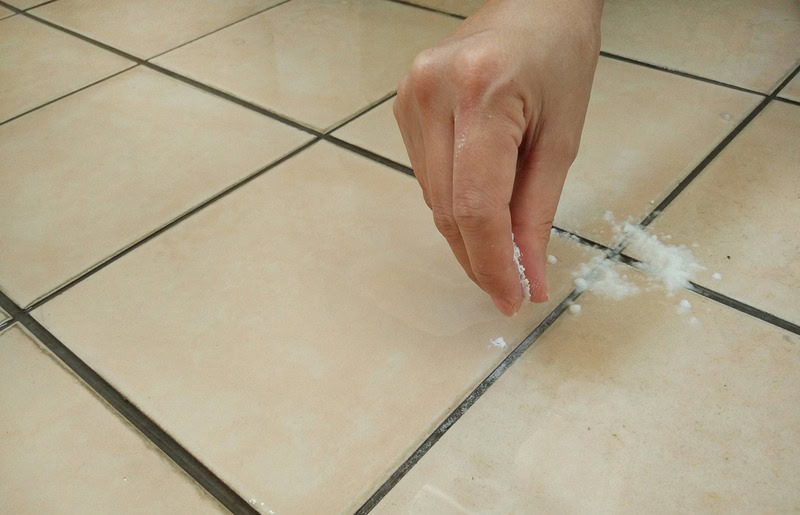 Shutterstock 516068800 Notjustfo