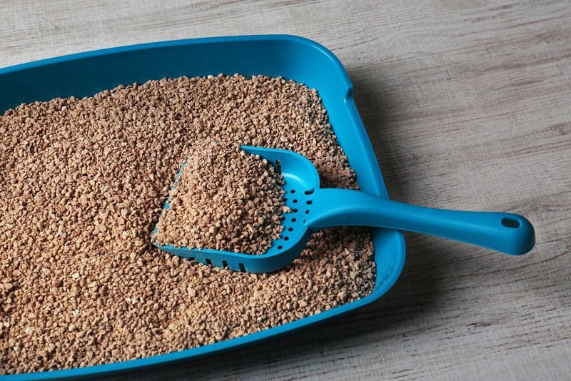 Shutterstock 600989270 Notjustfo