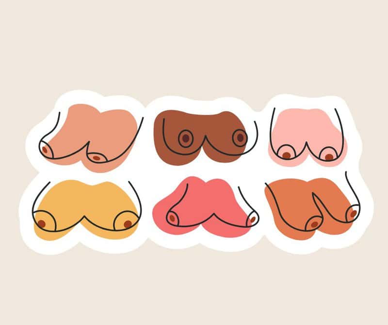 Breast Shape Or Size