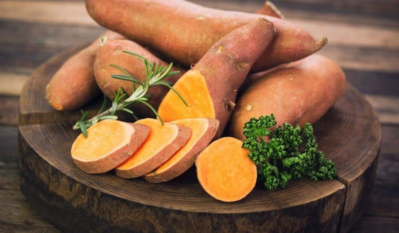 C9104e529a4873a89013cdba1a1a7e40