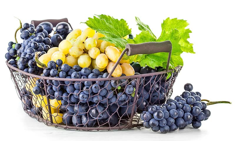 Grapes White Background Wicker Basket 531458 2560x1440