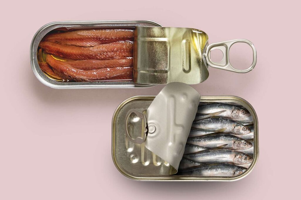 Anchovies or Sardines