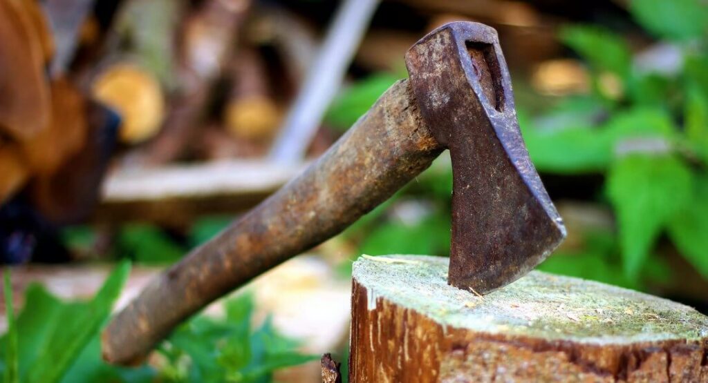 E6c6ebc8a0b58698a89fe221037c8298