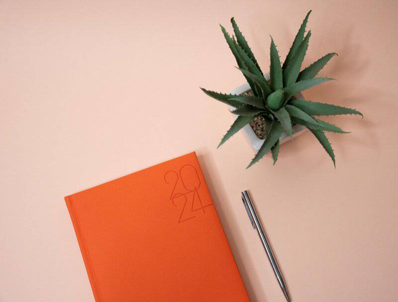 26. Lack of Purpose or Goals