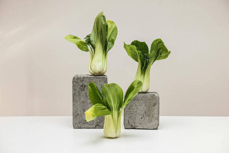 15. Bok Choy
