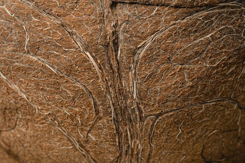 7. Scaly Skin Patches