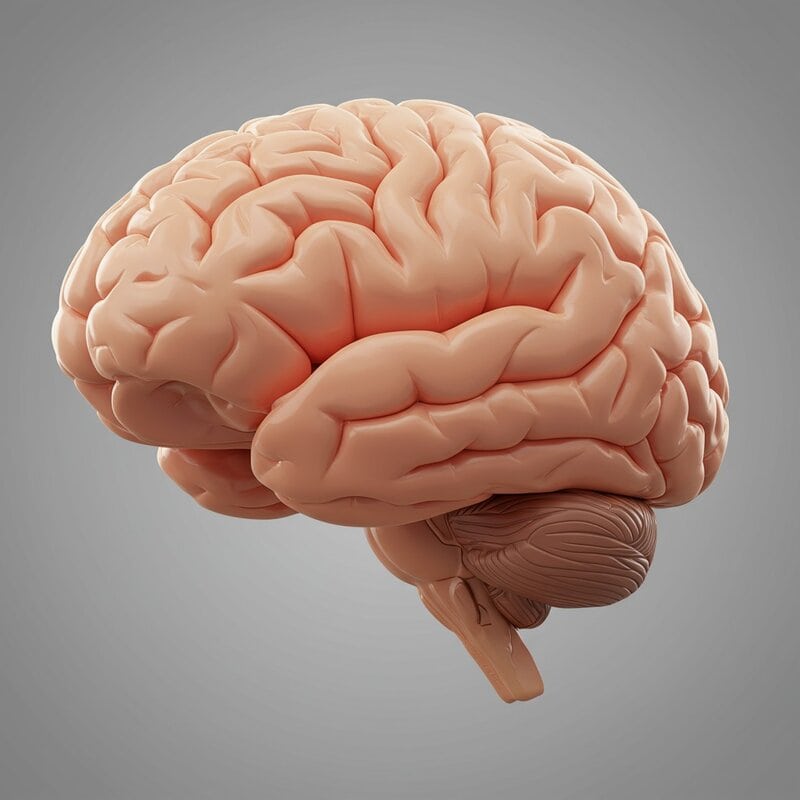 2. Reduced Glucose Metabolism