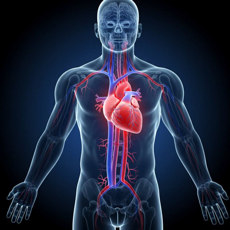 28. Undiagnosed Heart Issues