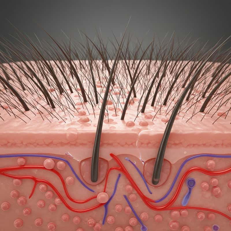 28. Slow Hair Growth or Loss