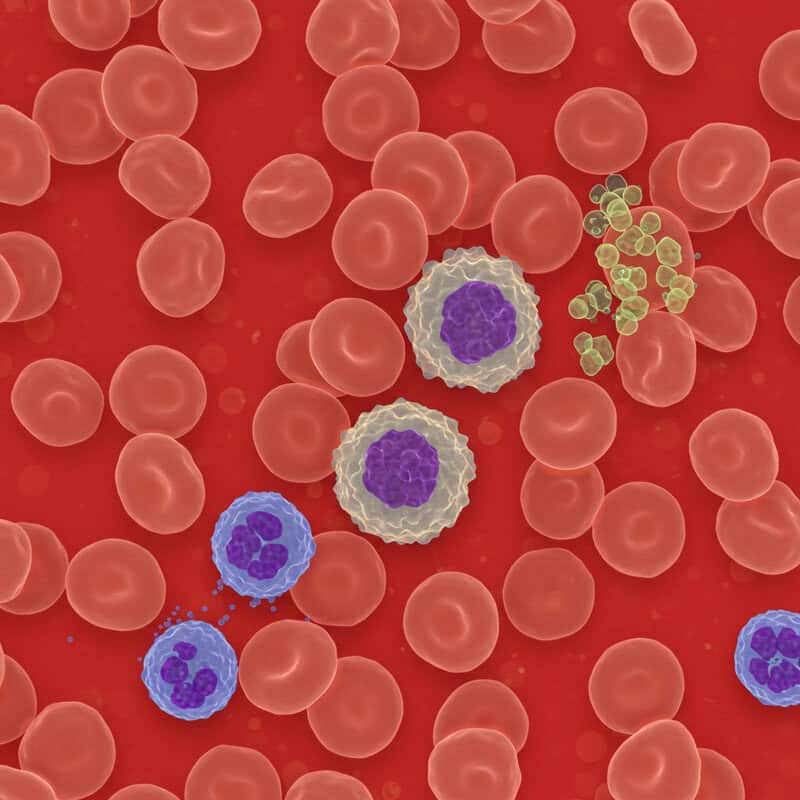 39. Difficulty Healing from Infections