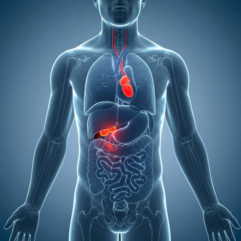 15. Addison’s Disease