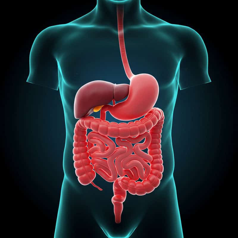23. Inflammatory Bowel Disease (IBD)
