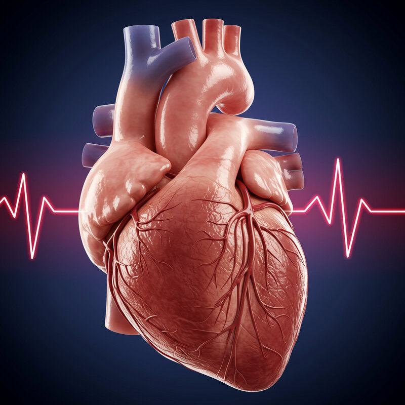 7. Irregular Heartbeat