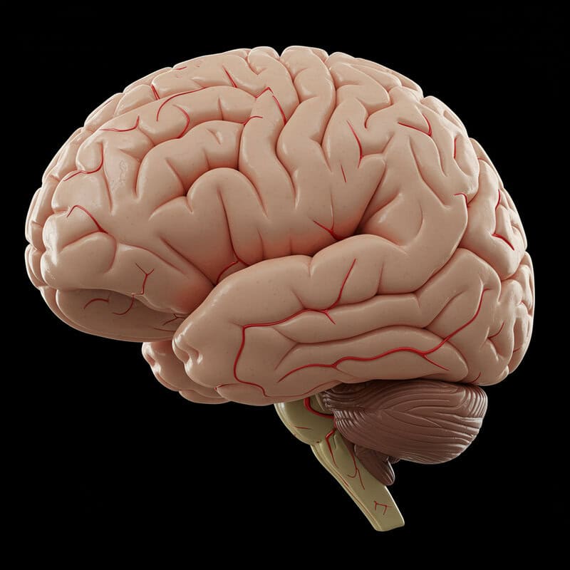 9. Confusion or Trouble Concentrating