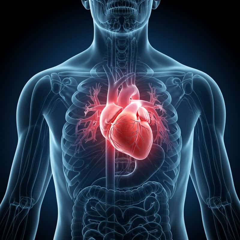 38. Fluttering in the Chest