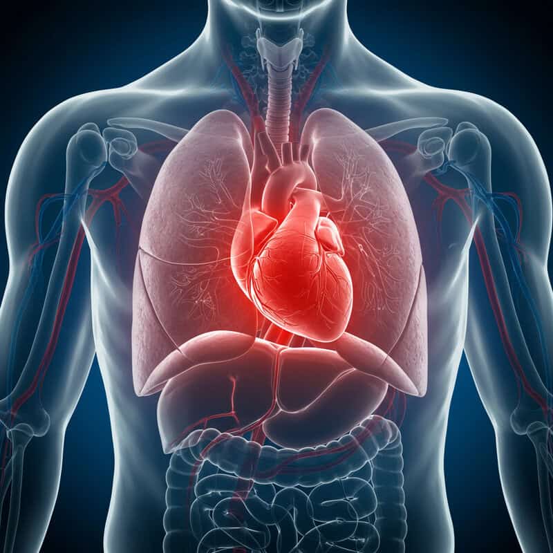 42. Chest Congestion