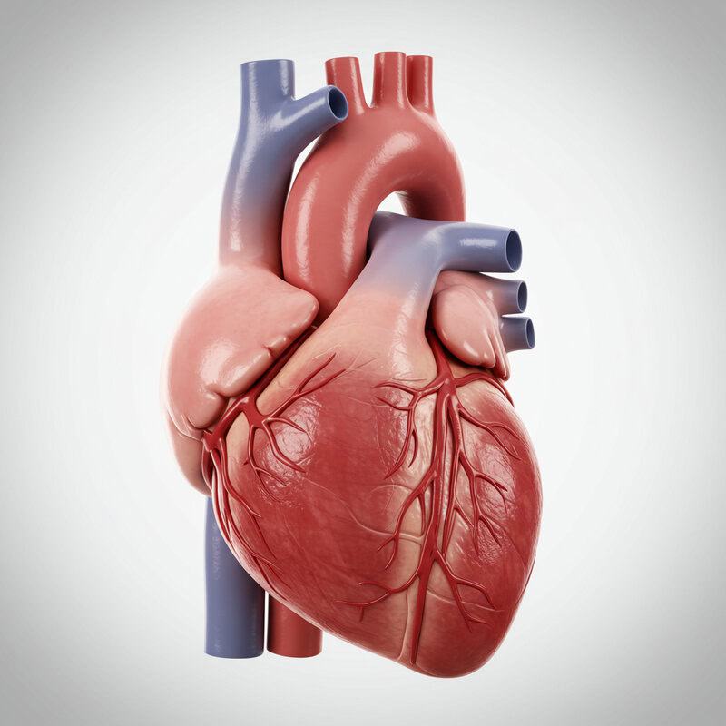 39. Pericarditis in RA