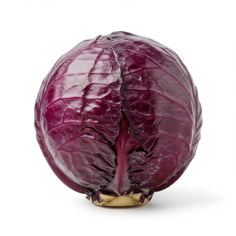 39. Red Cabbage