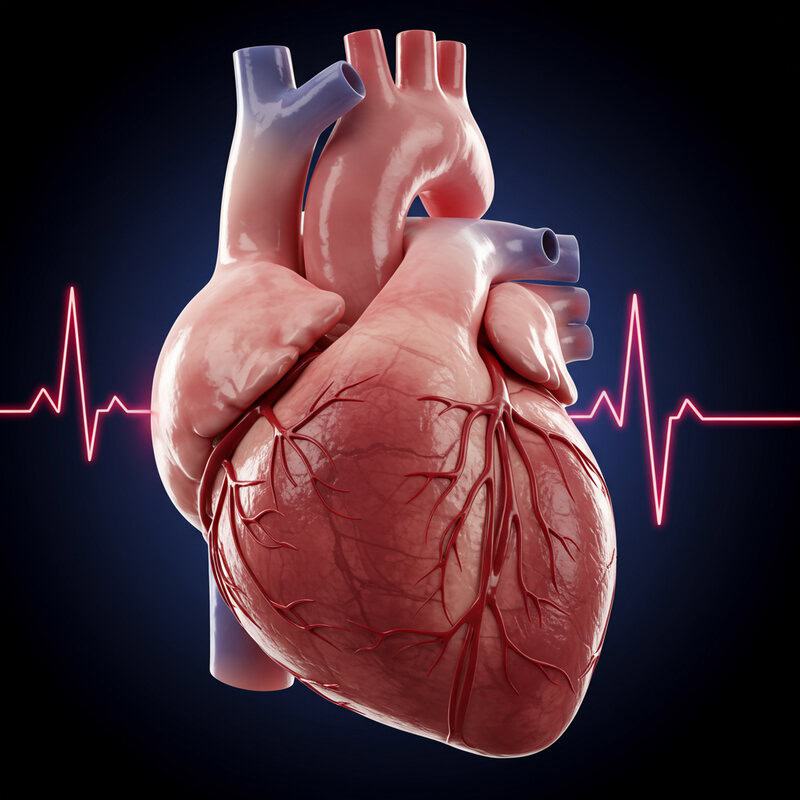 4. Irregular Heartbeat or Palpitations