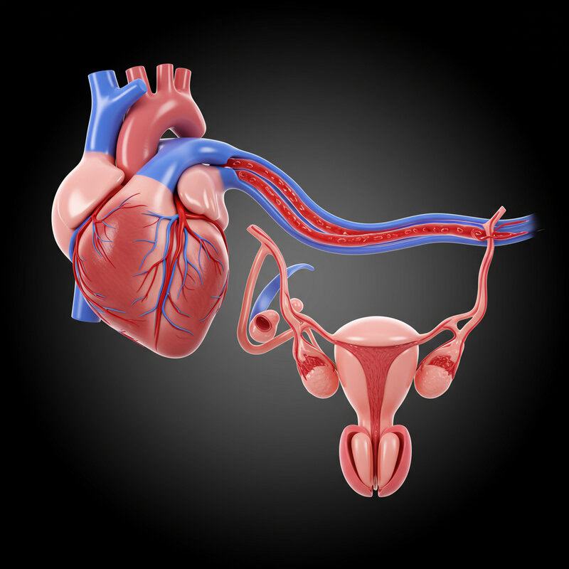 15. Sexual Dysfunction