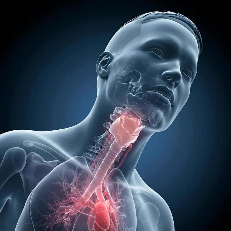 26. Persistent Sore Throat or Dry Cough