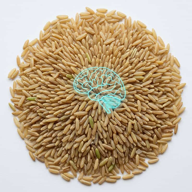 26. Brown Rice