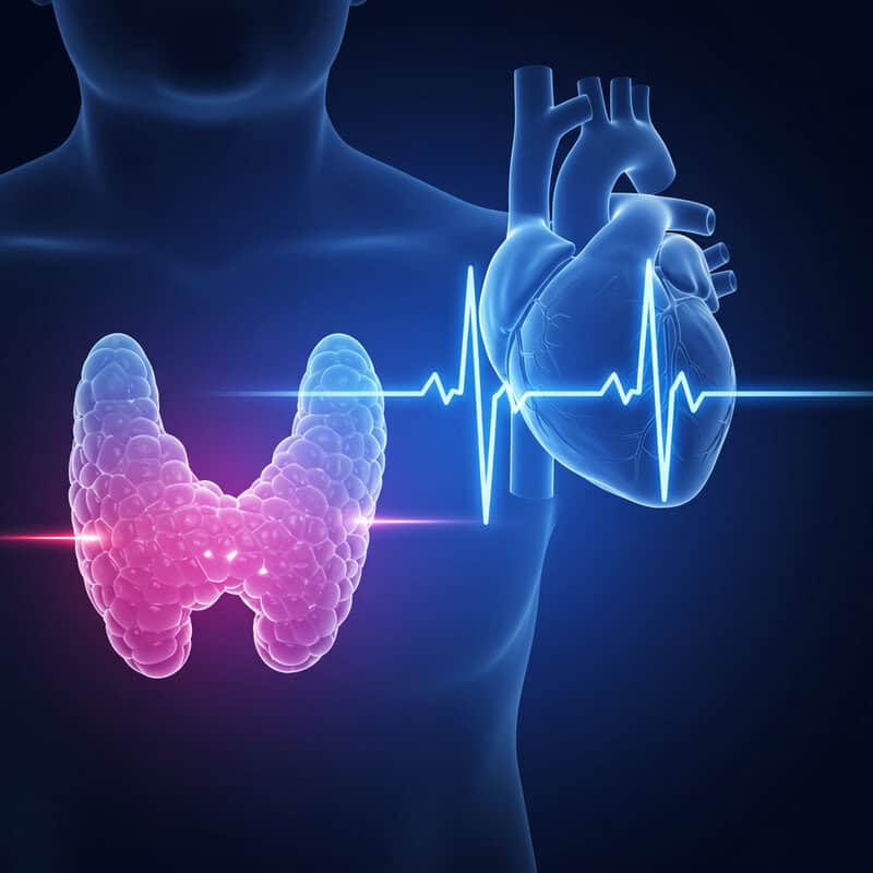 4. Changes in Heart Rate