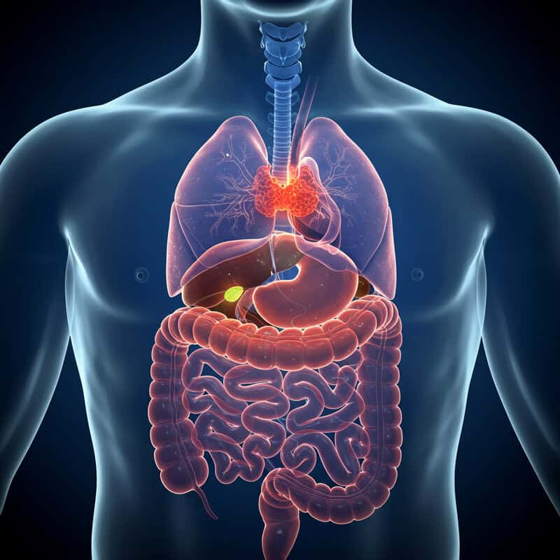 9. Constipation or Diarrhea