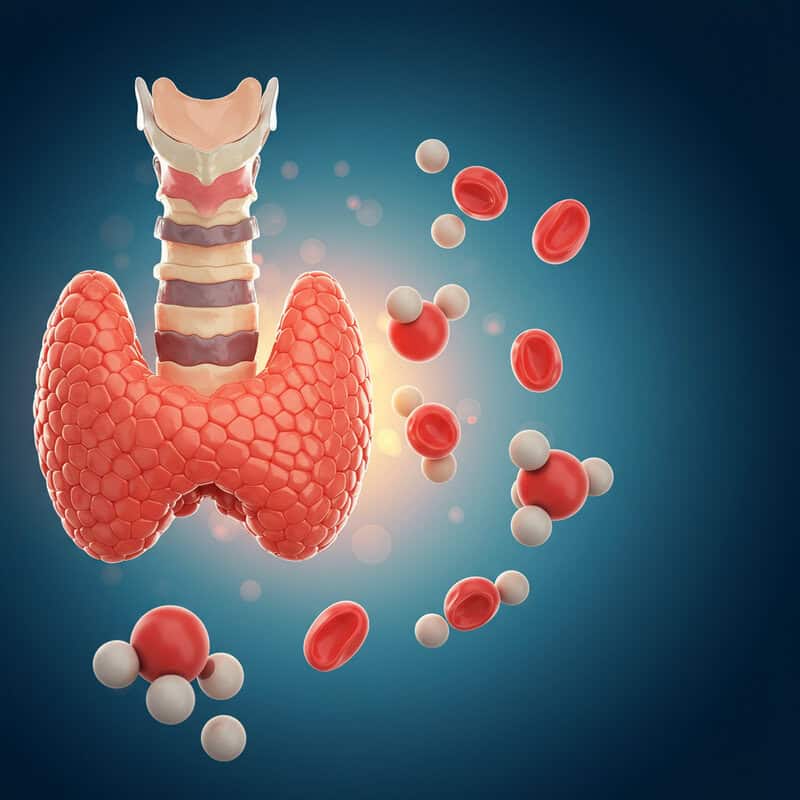 13. High Cholesterol Levels