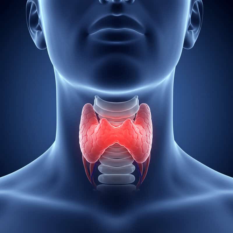 14. Hoarseness or Voice Changes