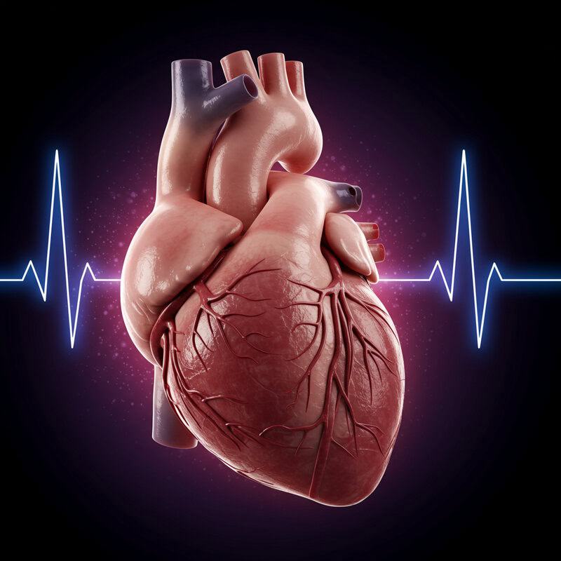 35. Slow Heart Rate (Bradycardia)