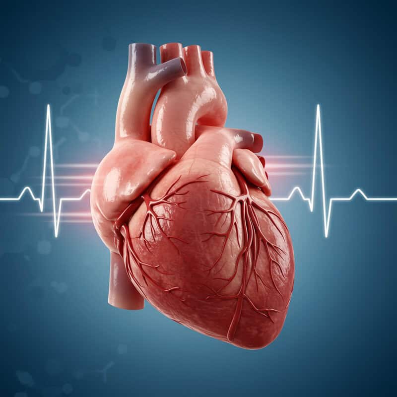 36. Rapid Heart Rate (Tachycardia)