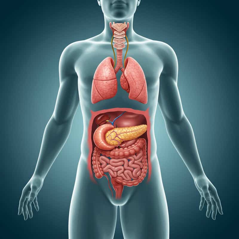35. Manage Underlying Conditions